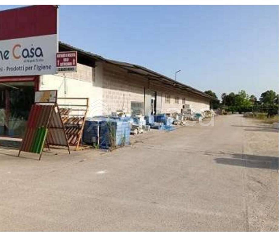 immagine annuncio 4 di 10