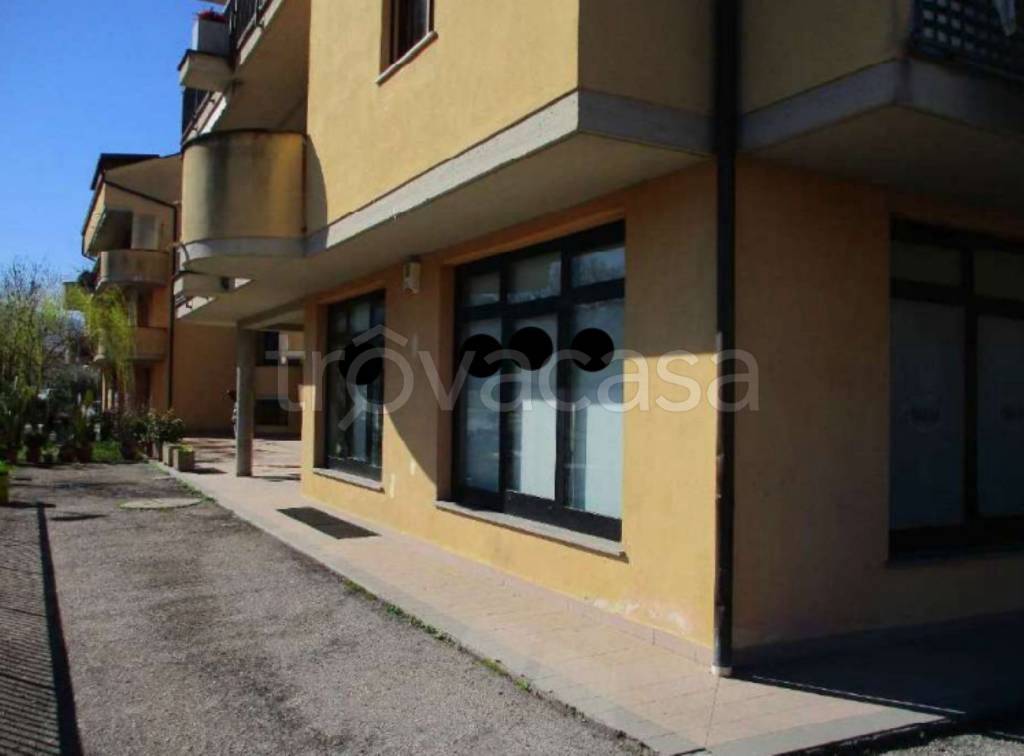 immagine annuncio 7 di 11