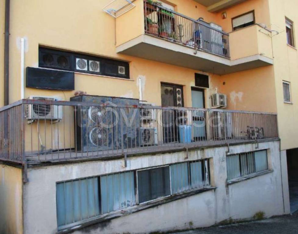 immagine annuncio 8 di 11