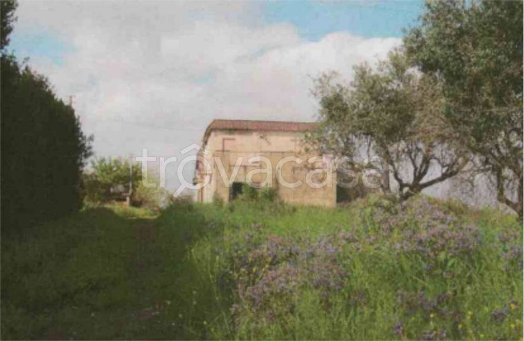 immagine annuncio 1 di 6