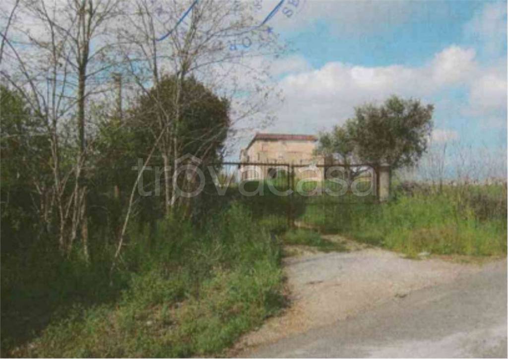 immagine annuncio 2 di 6