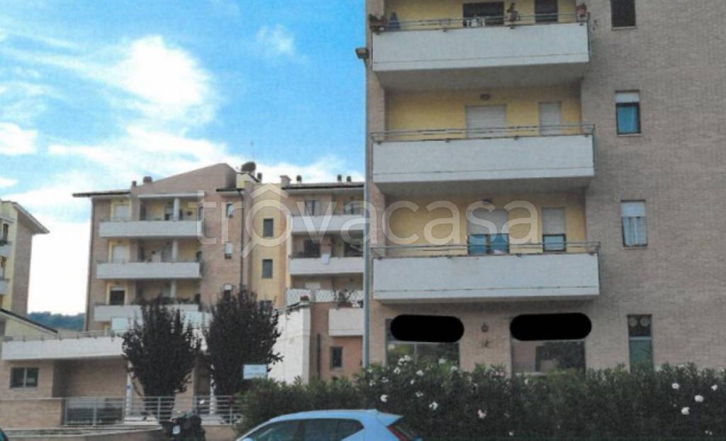 immagine annuncio 5 di 13