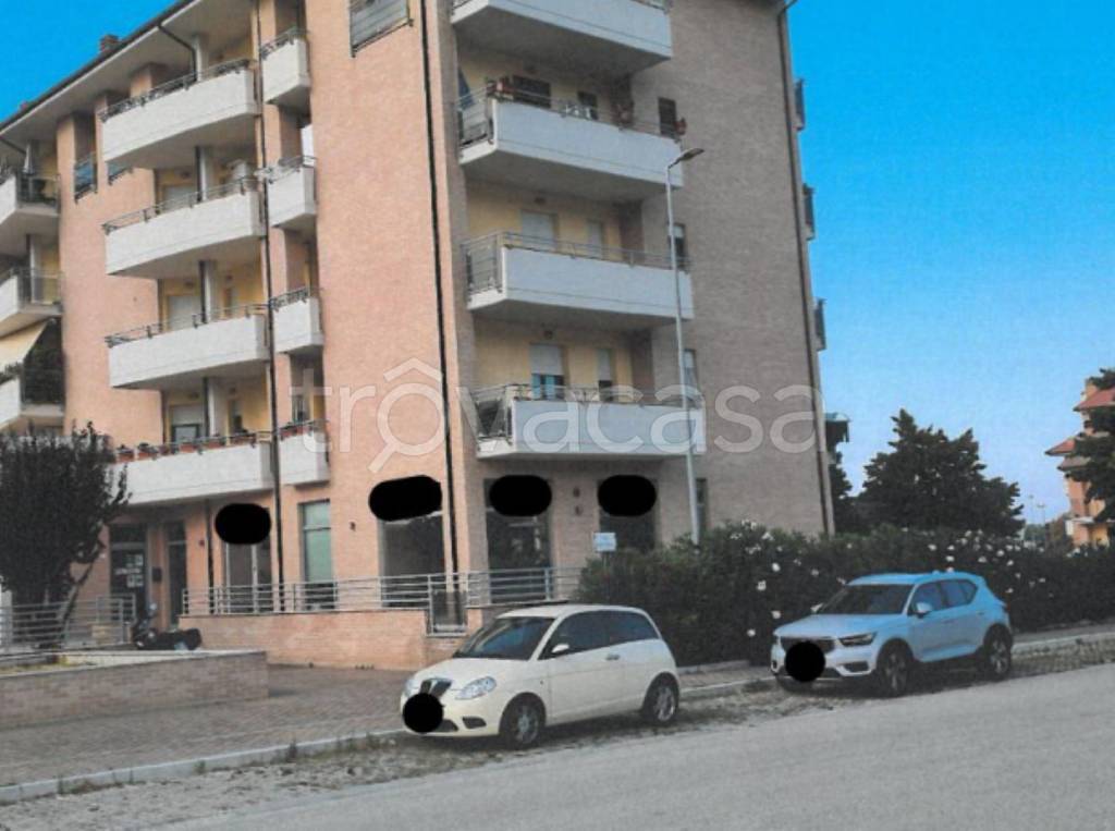 immagine annuncio 6 di 13