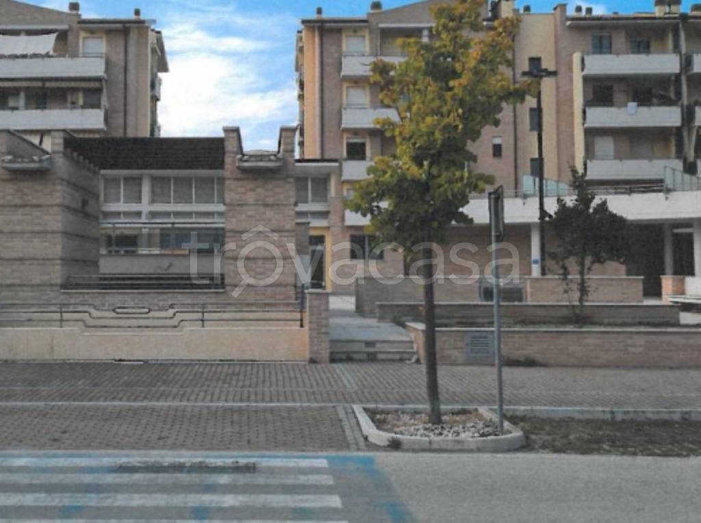 immagine annuncio 8 di 13