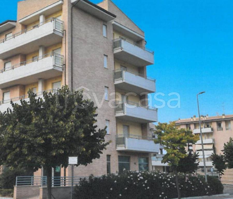 immagine annuncio 9 di 13