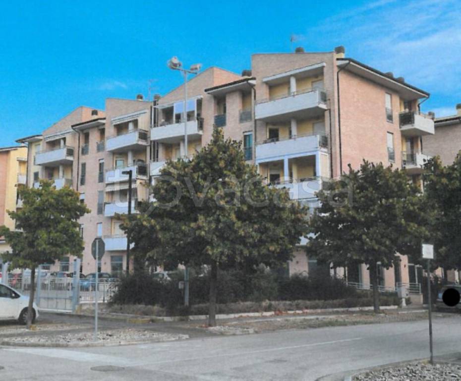 immagine annuncio 10 di 13