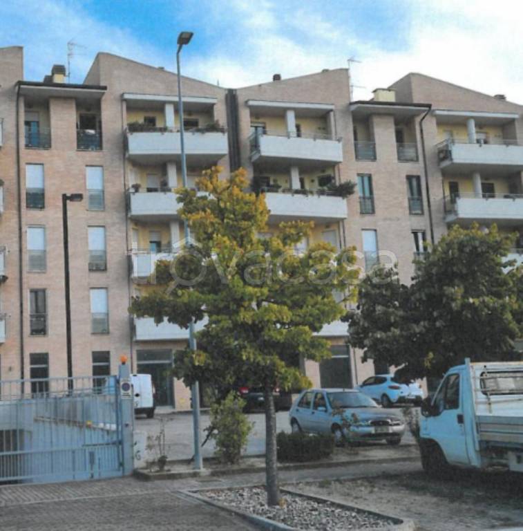 immagine annuncio 11 di 13