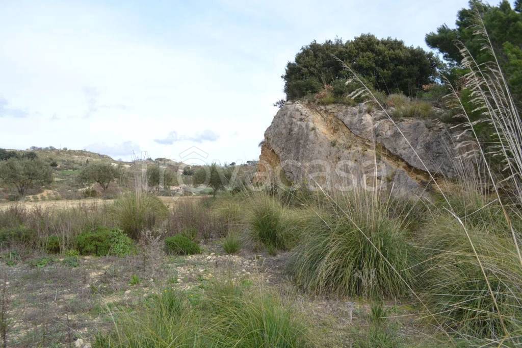 immagine annuncio 3 di 8