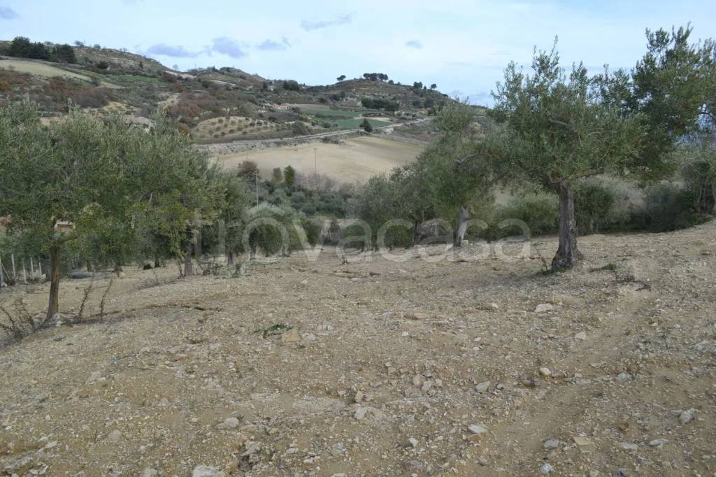 immagine annuncio 4 di 8