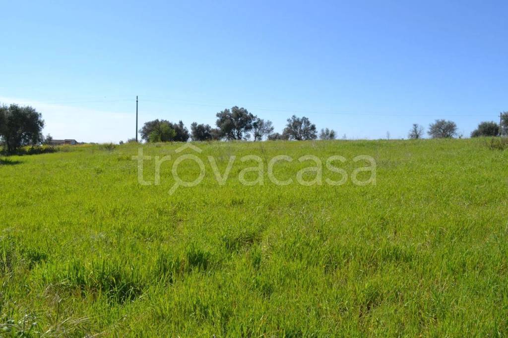 immagine annuncio 3 di 9