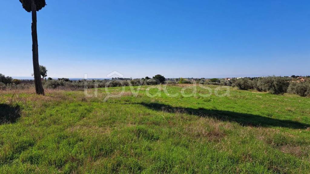 immagine annuncio 8 di 14