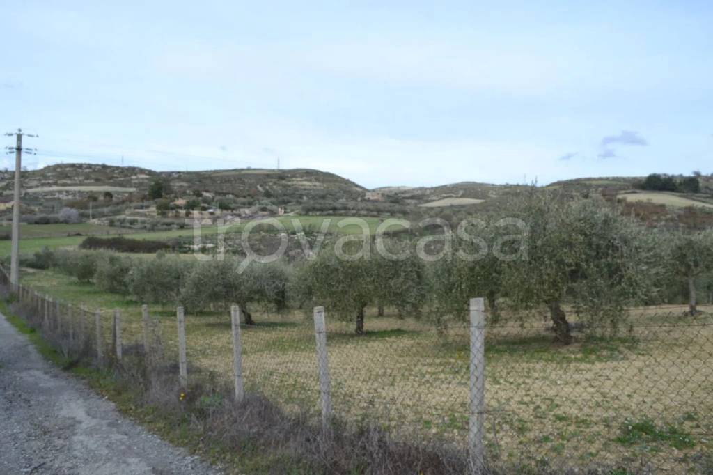 immagine annuncio 5 di 8