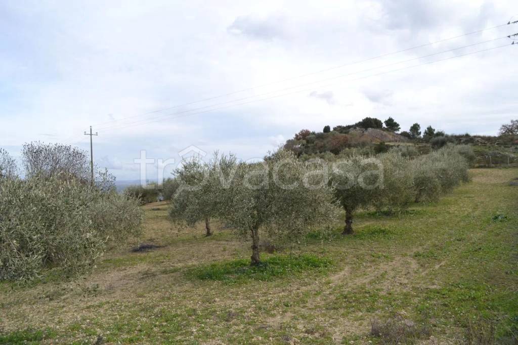 immagine annuncio 6 di 8