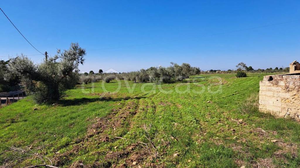 immagine annuncio 10 di 14