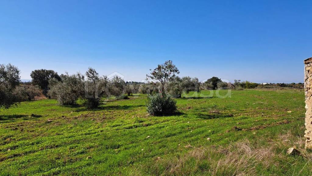 immagine annuncio 11 di 14