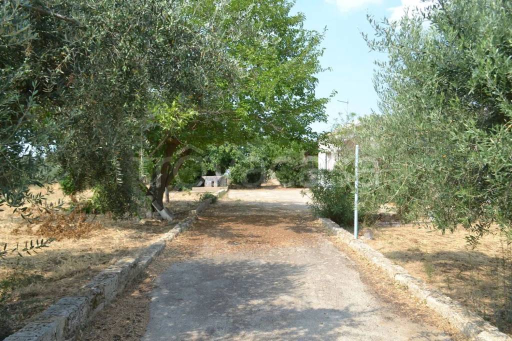 immagine annuncio 4 di 11