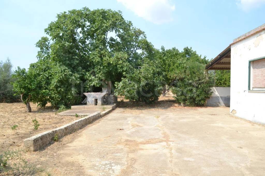 immagine annuncio 5 di 11