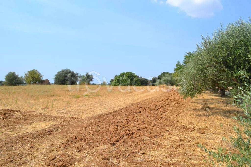 immagine annuncio 8 di 11