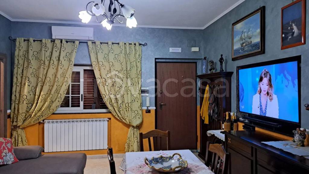 immagine annuncio 1 di 14