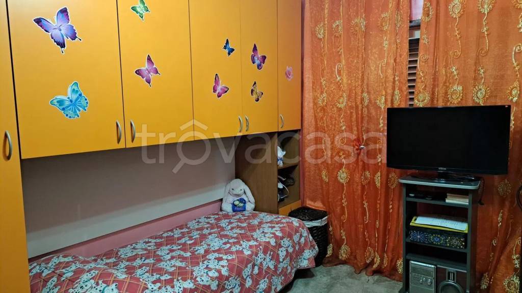 immagine annuncio 6 di 14