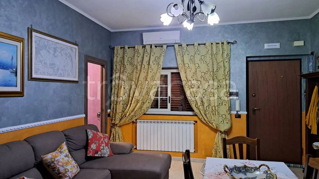 immagine annuncio 8 di 14