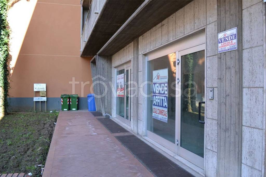 immagine annuncio 4 di 13