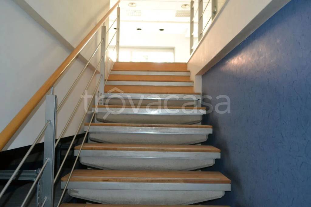 immagine annuncio 12 di 13