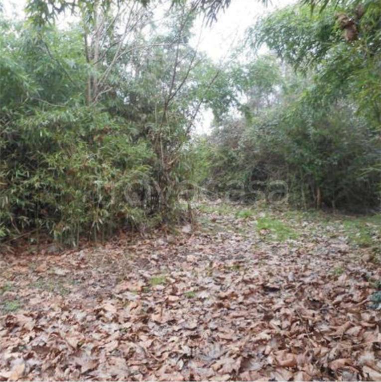 immagine annuncio 10 di 12