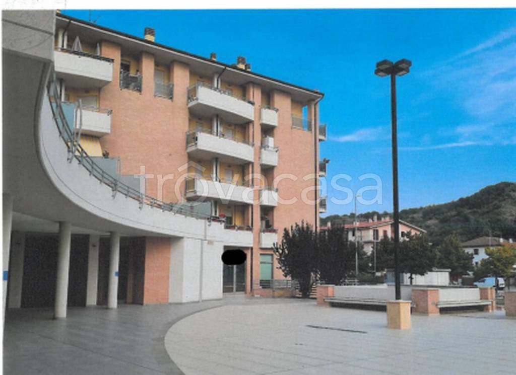 immagine annuncio 1 di 12