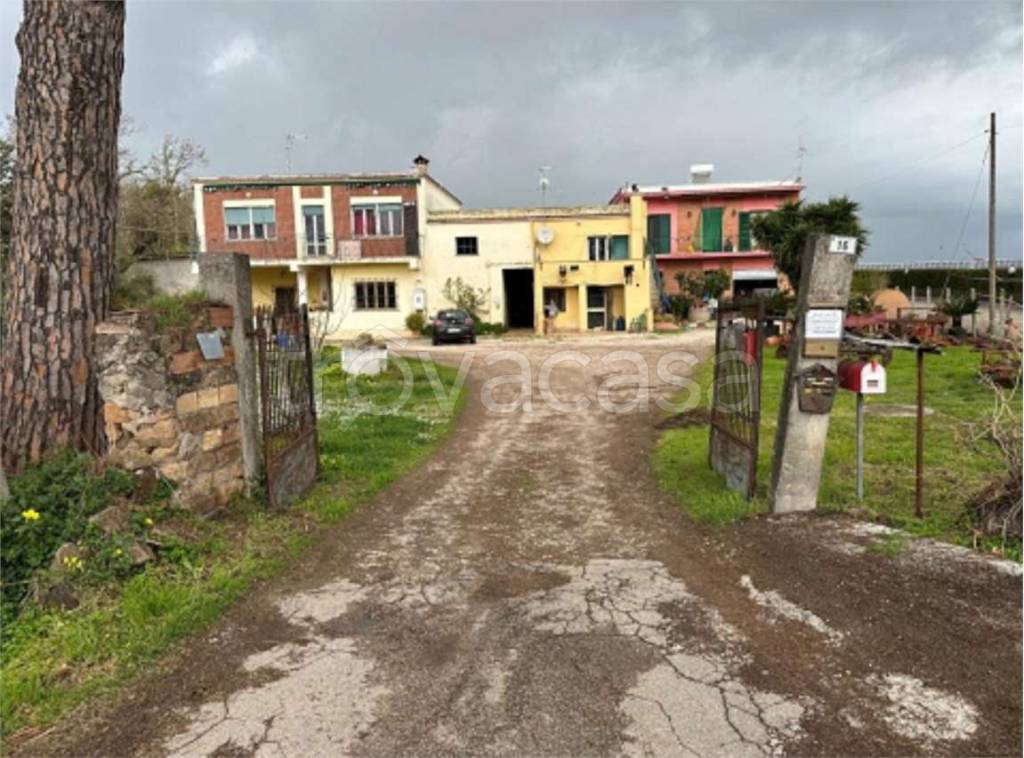 immagine annuncio 2 di 9