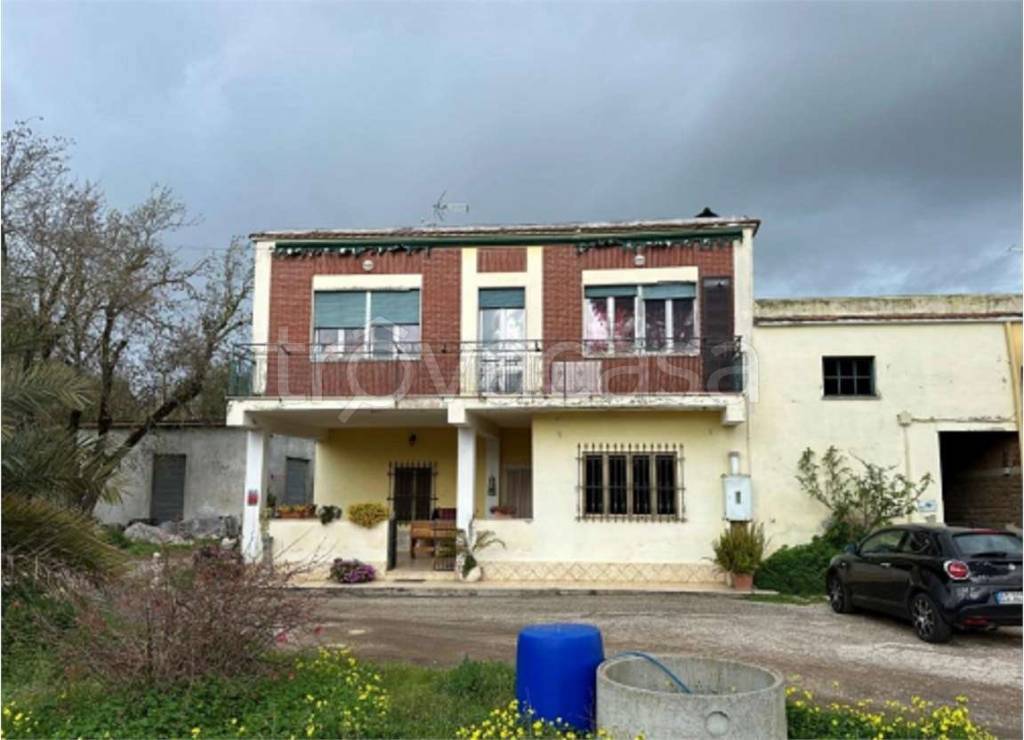 immagine annuncio 4 di 9