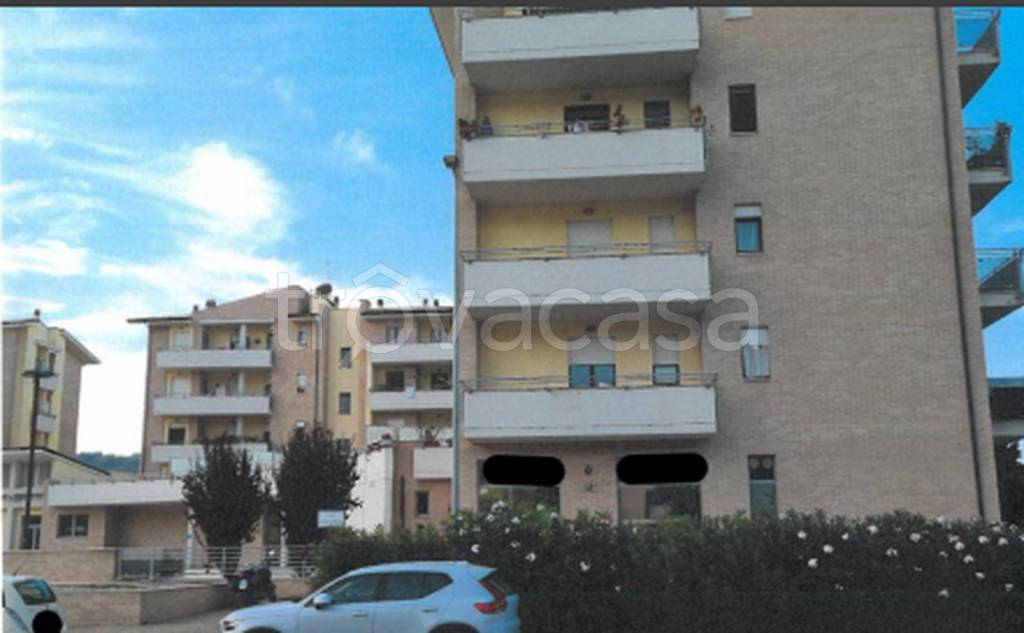 immagine annuncio 2 di 12