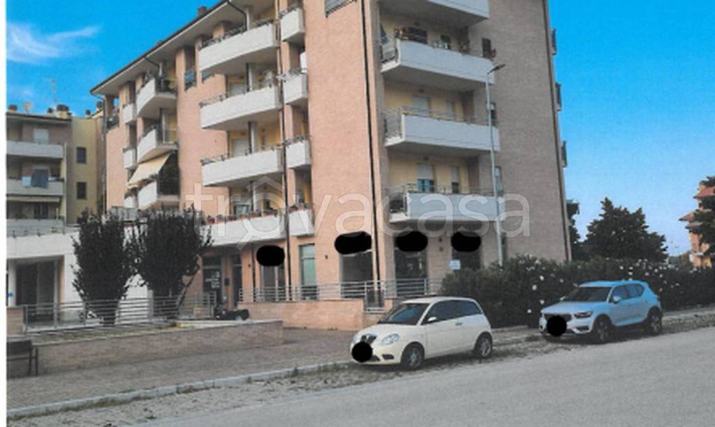 immagine annuncio 3 di 12