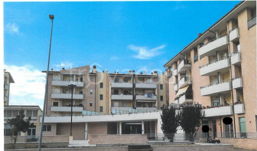 immagine annuncio 5 di 12