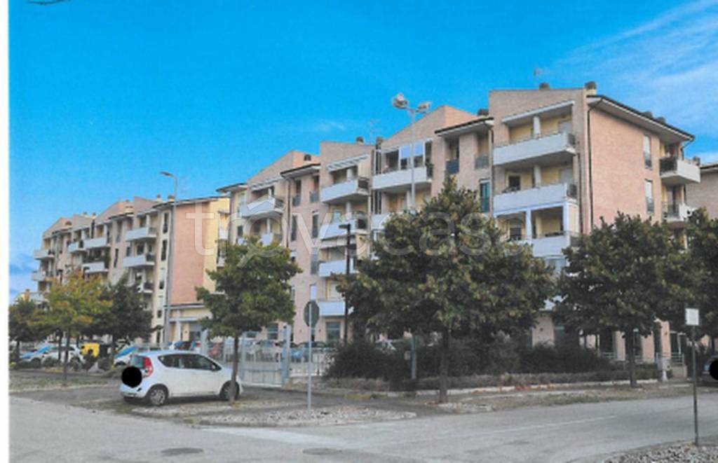 immagine annuncio 7 di 12