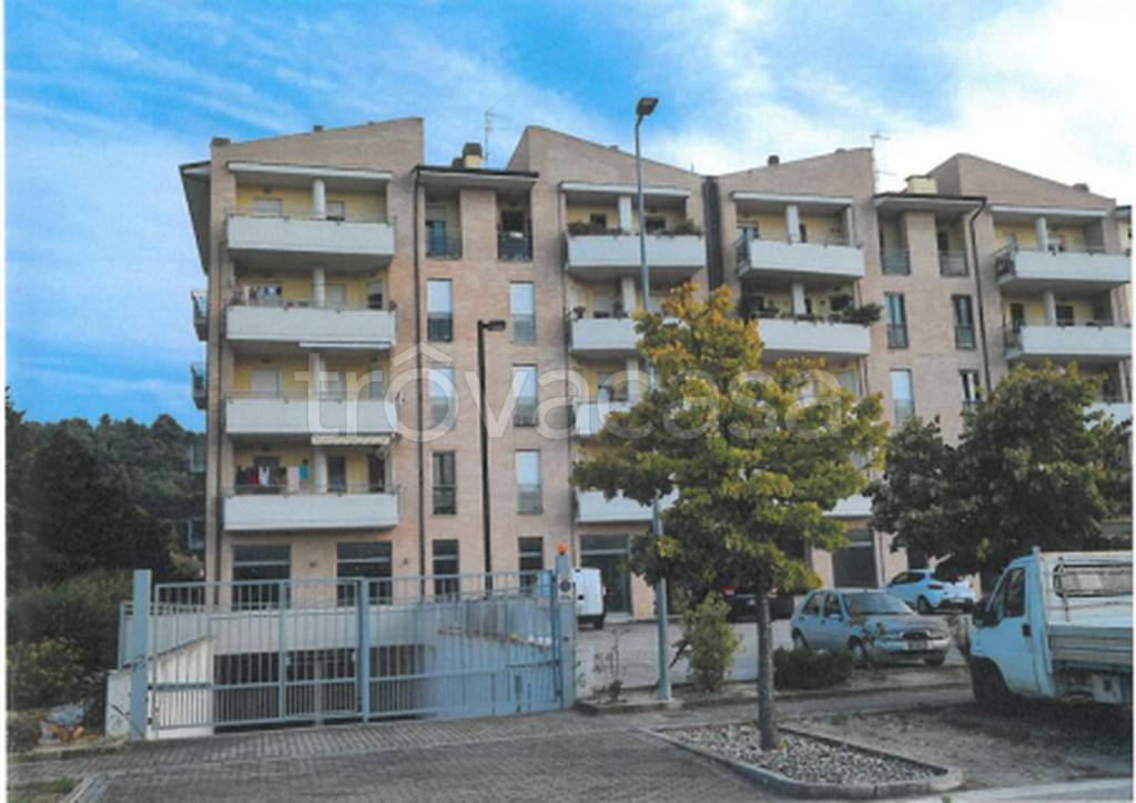 immagine annuncio 8 di 12