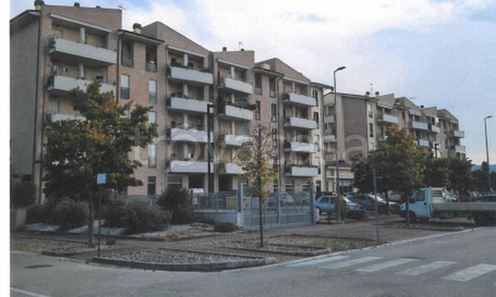 immagine annuncio 9 di 12