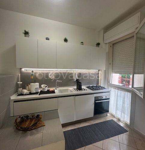 immagine annuncio 4 di 14