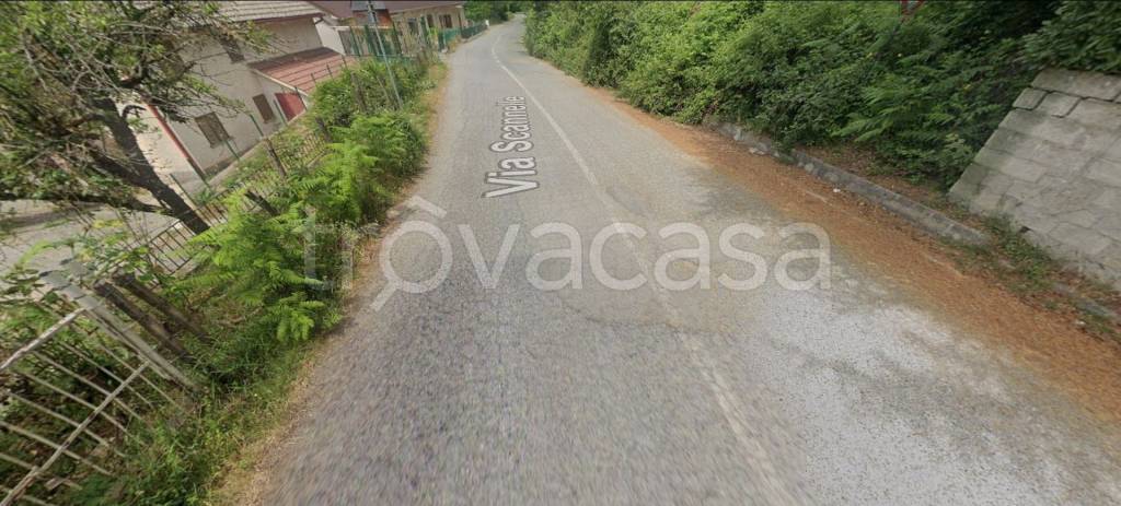 immagine annuncio 1 di 12