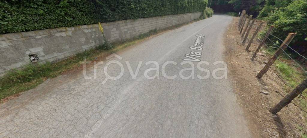 immagine annuncio 5 di 12