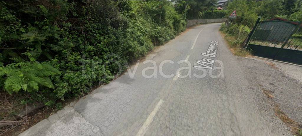 immagine annuncio 9 di 12