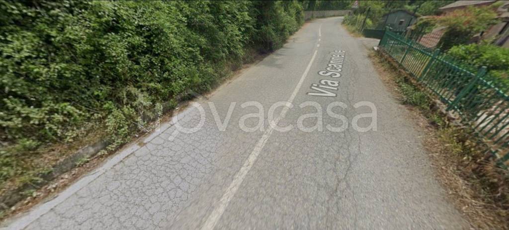 immagine annuncio 10 di 12