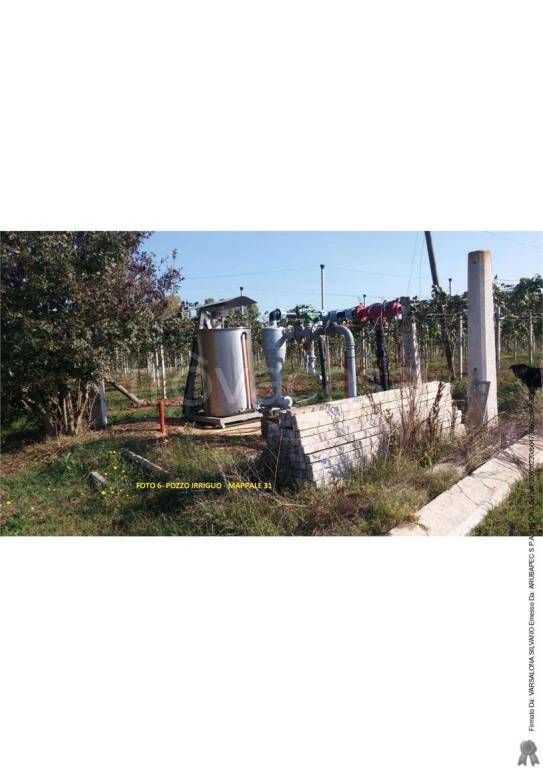 immagine annuncio 6 di 11