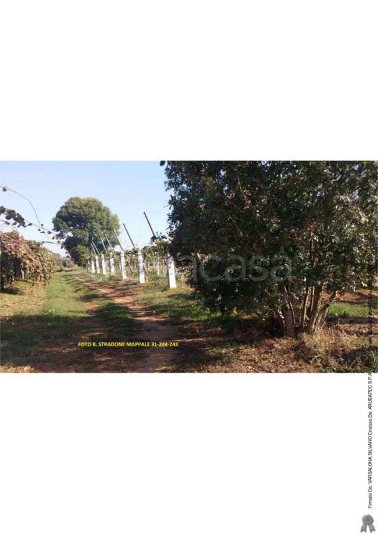 immagine annuncio 8 di 11