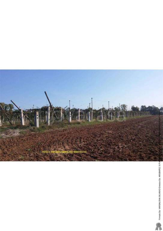 immagine annuncio 9 di 11