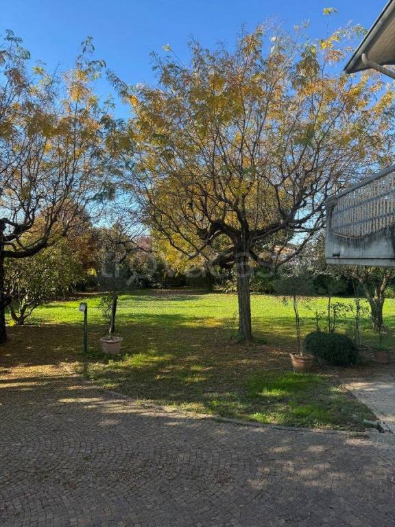 immagine annuncio 6 di 7