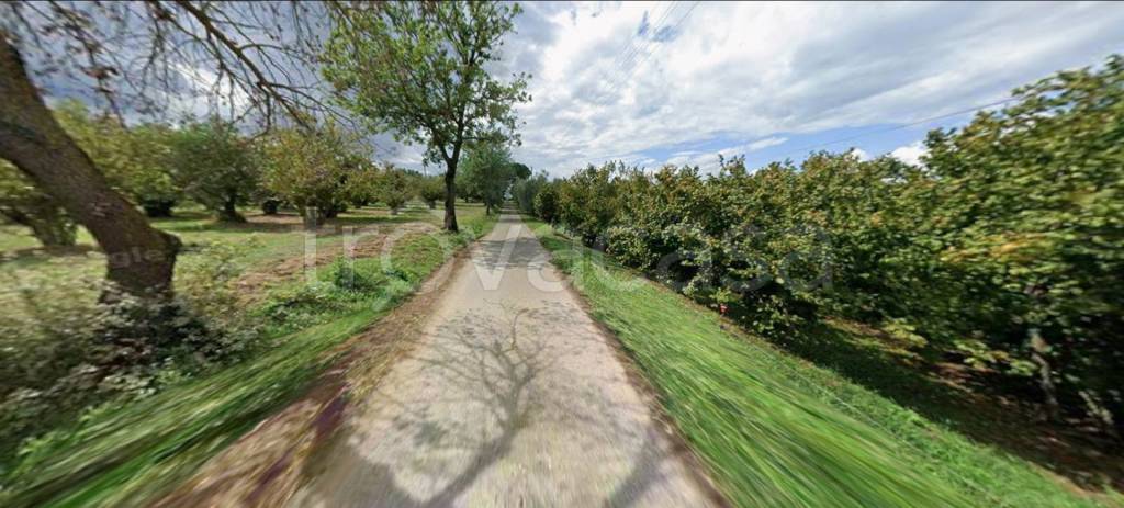 immagine annuncio 11 di 13