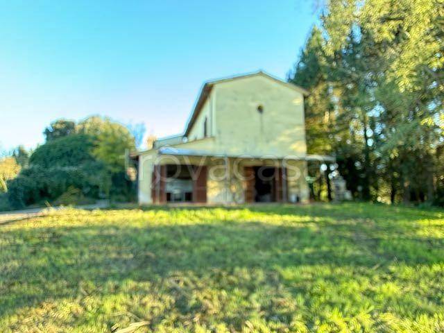 immagine annuncio 13 di 14