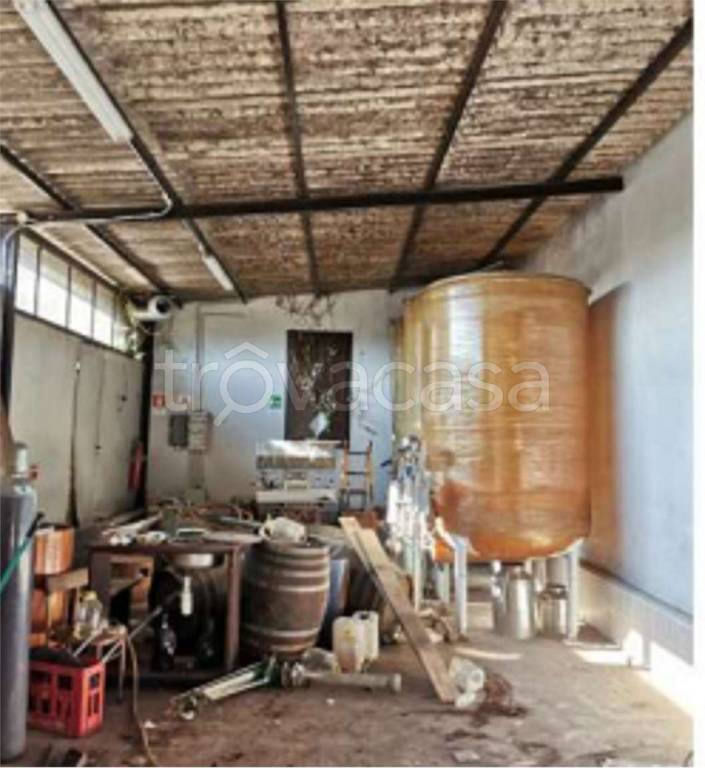 immagine annuncio 1 di 8