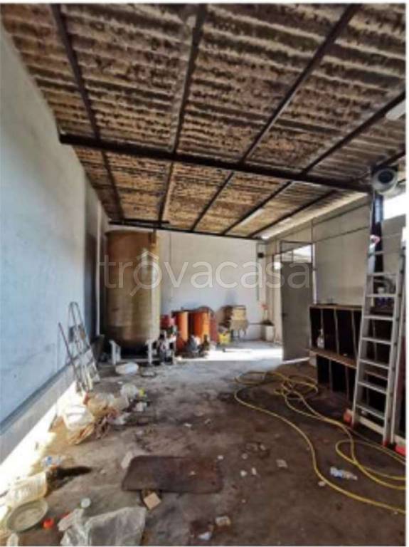 immagine annuncio 2 di 8